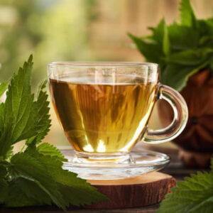 A cup of herbal tea with fresh stinging nettles on a table outdoors in nature